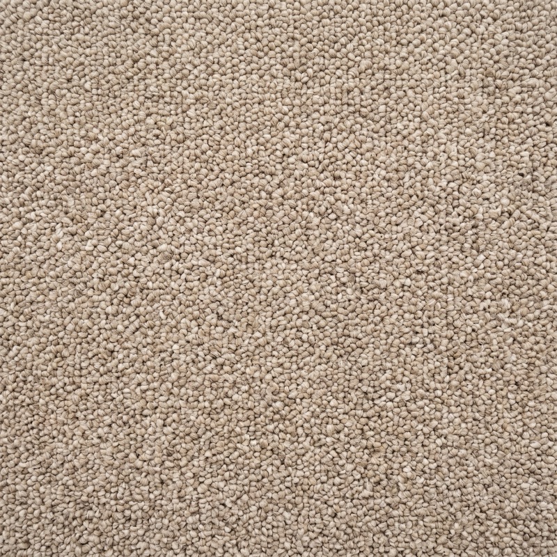 Oatmeal Loop Carpet flooring sample